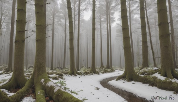 A ethereal snowy day showcasing a landscape