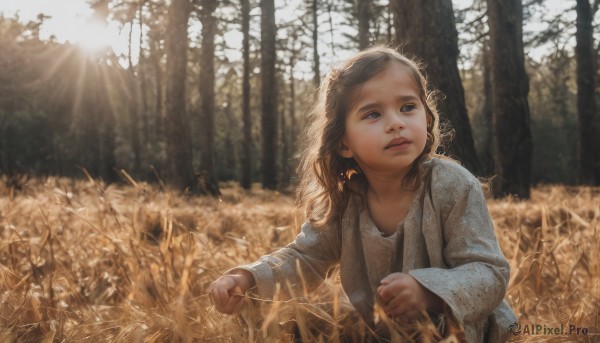 1girl,solo,long hair,blue eyes,brown hair,long sleeves,upper body,outdoors,day,blurry,tree,lips,looking away,sunlight,grass,child,nature,scenery,forest,backlighting,realistic,female child,field,wheat,aged down,sun,fine art parody