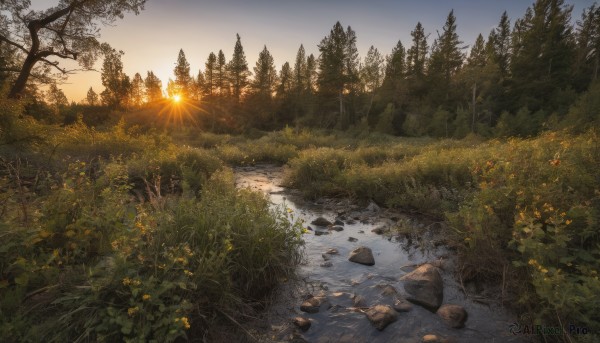 flower,outdoors,sky,day,cloud,water,tree,no humans,sunlight,grass,plant,nature,scenery,forest,sunset,rock,mountain,sun,bush,river,landscape,path,evening,stream