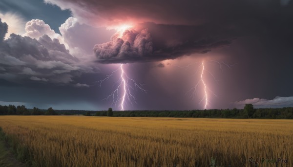 outdoors,sky,cloud,tree,no humans,cloudy sky,grass,nature,scenery,forest,mountain,electricity,field,lightning,landscape,solo,horizon