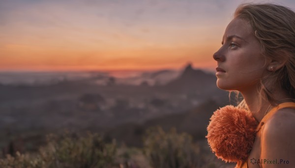 1girl, solo, long hair, blue eyes, blonde hair, brown hair, jewelry, upper body, flower, earrings, outdoors, sky, blurry, lips, profile, depth of field, blurry background, sunset, mountain, realistic, looking afar