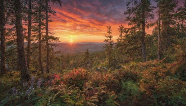 A stunning portrayal of a landscape in a breathtaking sunset outdoors