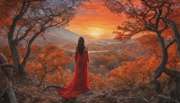 The charm of a female in a scenic sunset outdoors