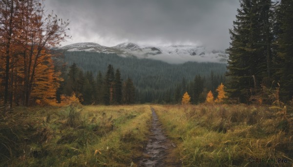 outdoors,sky,day,cloud,water,tree,no humans,cloudy sky,grass,nature,scenery,forest,mountain,road,bare tree,river,landscape,fog,grey sky,path,bird,autumn leaves,field,autumn