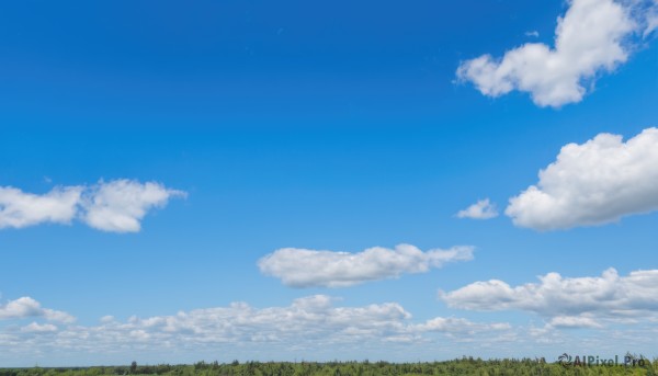 outdoors,sky,day,cloud,tree,blue sky,no humans,cloudy sky,grass,nature,scenery,forest,landscape,field,summer