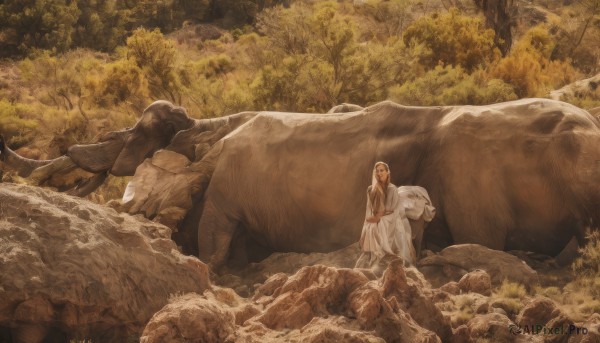 1girl,solo,long hair,blonde hair,brown hair,long sleeves,1boy,dress,sitting,closed mouth,outdoors,dark skin,white dress,tree,animal,grass,nature,scenery,forest,robe,rock,fantasy,wide shot,oversized animal,standing,fine art parody