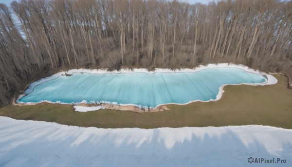 A stunning landscape within a vivid snowy day