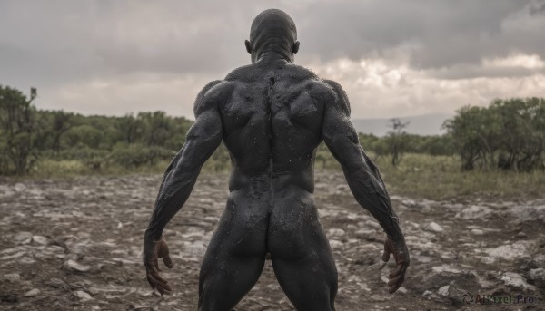 solo,1boy,standing,ass,male focus,thighs,outdoors,sky,cloud,from behind,blurry,tree,bodysuit,muscular,back,cloudy sky,muscular male,nature,bara,monster,rock,realistic,alien,nude,water,colored skin,grass,facing away,bald