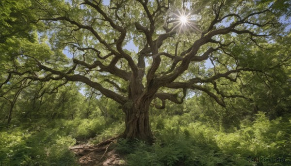 A peaceful image of a landscape in day