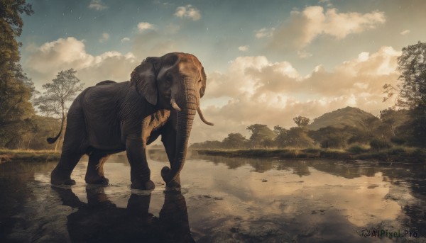 solo,tail,outdoors,horns,sky,day,cloud,water,tree,no humans,night,animal,cloudy sky,star (sky),nature,scenery,forest,starry sky,reflection,ripples,lake,reflective water,goat,tongue