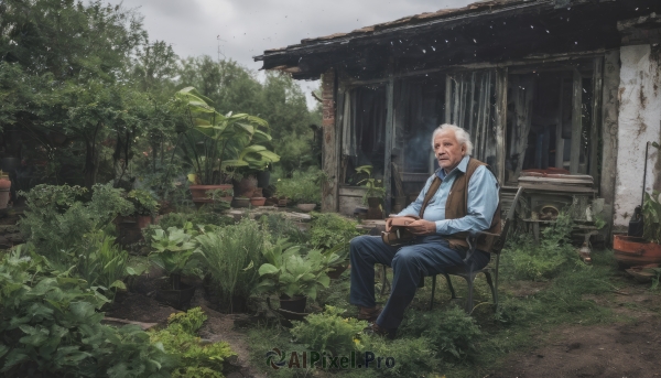 solo,shirt,long sleeves,1boy,holding,sitting,weapon,white hair,male focus,outdoors,shoes,collared shirt,pants,vest,tree,gun,window,facial hair,chair,brown footwear,grass,blue shirt,plant,building,scenery,beard,cigarette,mustache,smoking,potted plant,old,old man,white shirt,necktie,sky,day,belt,cloud,cloudy sky,realistic