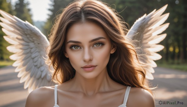 1girl,solo,long hair,looking at viewer,smile,brown hair,bare shoulders,brown eyes,closed mouth,collarbone,upper body,outdoors,wings,day,white dress,blurry,lips,eyelashes,depth of field,blurry background,wavy hair,sunlight,portrait,feathered wings,angel wings,realistic,nose,white wings,angel,dress,artist name,bokeh