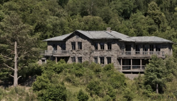 outdoors,tree,no humans,traditional media,grass,plant,building,nature,scenery,forest,bush,architecture,ruins,house,day,window,east asian architecture