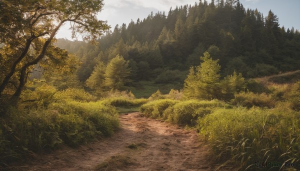 A captivating landscape within day