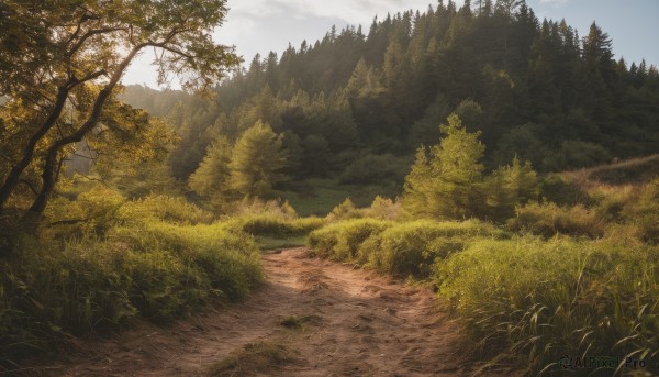 outdoors,sky,day,cloud,tree,blue sky,no humans,grass,plant,nature,scenery,forest,mountain,road,river,landscape,path,bush,field