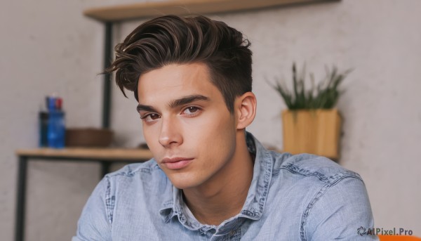 solo,looking at viewer,smile,short hair,brown hair,shirt,black hair,1boy,brown eyes,closed mouth,white shirt,upper body,male focus,collared shirt,indoors,blurry,black eyes,lips,blurry background,blue shirt,plant,realistic,nose,potted plant,table,denim,portrait,desk