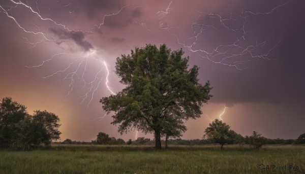 outdoors,sky,cloud,tree,no humans,cloudy sky,grass,nature,scenery,forest,sunset,electricity,lightning,star (sky),landscape