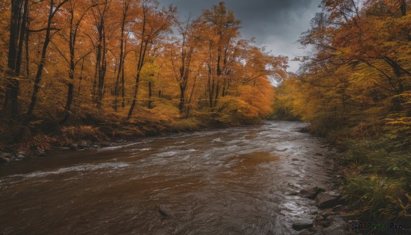 outdoors,sky,day,cloud,water,tree,no humans,leaf,grass,nature,scenery,forest,rock,road,autumn leaves,river,autumn,landscape,path,sunlight,cloudy sky