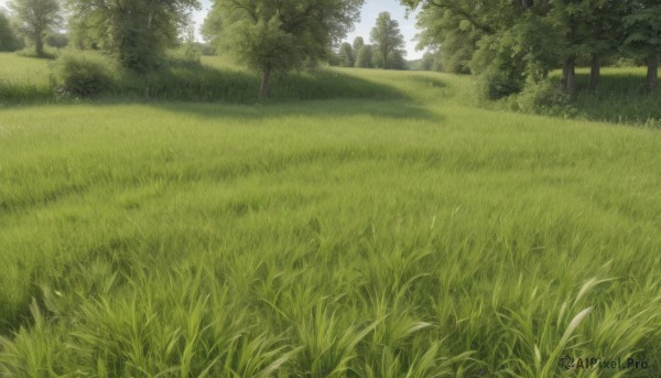 A peaceful day with a landscape