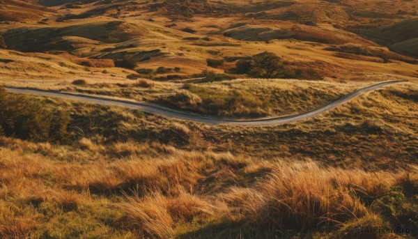 A graceful view of a landscape in outdoors