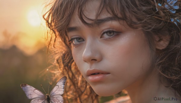 A captivating butterfly within outdoors