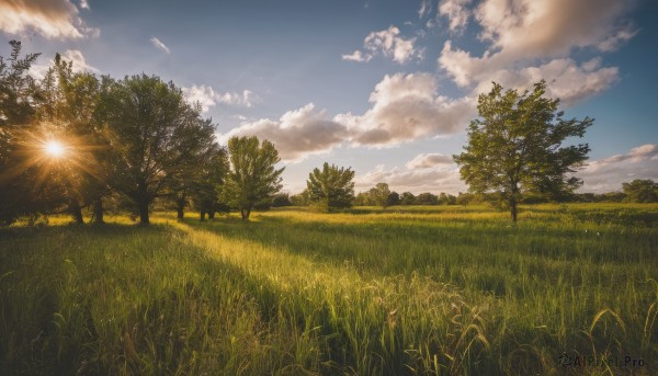 outdoors,sky,day,cloud,tree,blue sky,no humans,sunlight,cloudy sky,grass,plant,nature,scenery,forest,sunset,sun,field,landscape,hill