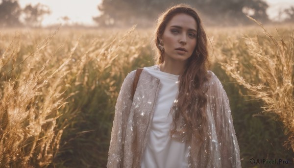 1girl,solo,long hair,looking at viewer,brown hair,shirt,dress,brown eyes,jewelry,white shirt,upper body,earrings,outdoors,parted lips,sky,day,white dress,blurry,tree,lips,depth of field,blurry background,wavy hair,realistic,dark skin,bag,dark-skinned female,sunlight,field,wheat