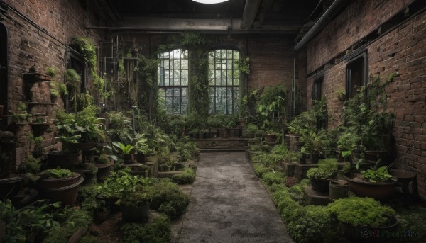 outdoors,day,indoors,no humans,window,sunlight,plant,scenery,door,potted plant,ruins,vines,brick wall,moss,overgrown,wall,stone wall