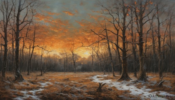 A landscape in the heart of a beautiful snowy outdoors