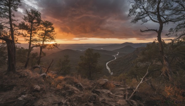 outdoors,sky,cloud,tree,no humans,cloudy sky,grass,nature,scenery,forest,smoke,sunset,ghost,rock,mountain,bare tree,landscape,orange sky,sunlight,horizon,mountainous horizon