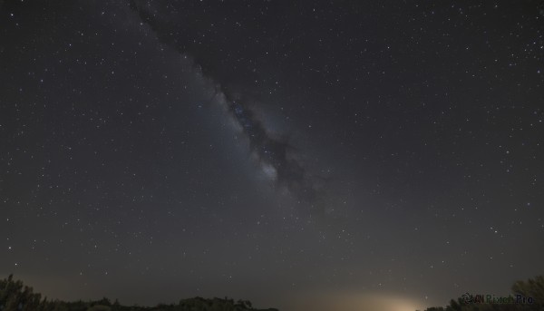 outdoors,sky,tree,no humans,night,star (sky),nature,night sky,scenery,forest,starry sky,dark,milky way,star (symbol),grass