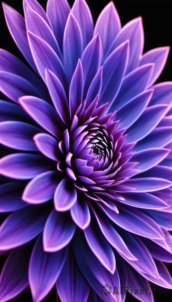The elegance of a abstract in a ethereal background