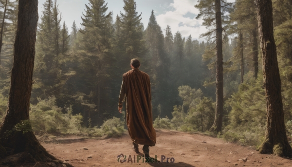 solo,short hair,black hair,long sleeves,1boy,standing,male focus,boots,outdoors,sky,day,cloud,from behind,cape,tree,dutch angle,sunlight,nature,scenery,forest,walking,light rays,bush,sunbeam,blood,grass,cloak