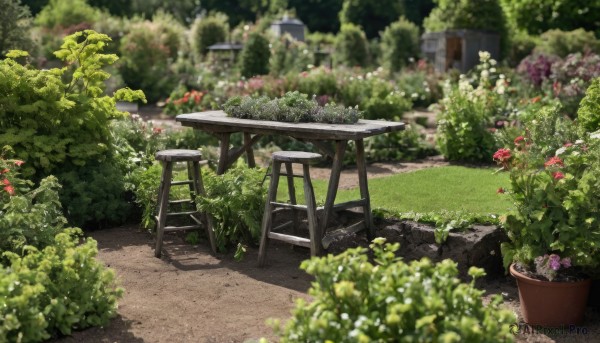 flower,outdoors,day,blurry,tree,no humans,depth of field,shadow,chair,table,grass,plant,red flower,building,scenery,potted plant,road,bush,flower pot,path,garden,sunlight,nature,pink flower,wooden chair