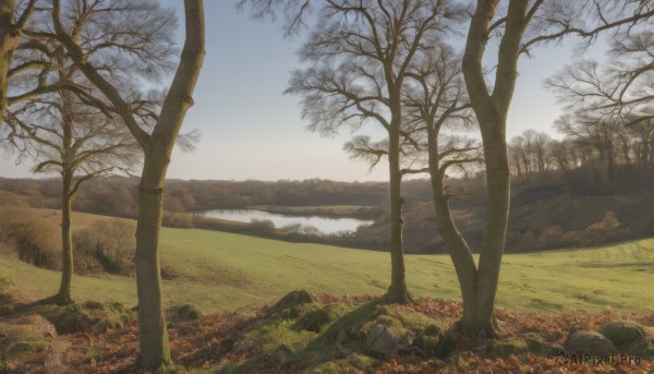 Image of a landscape in a vibrant day
