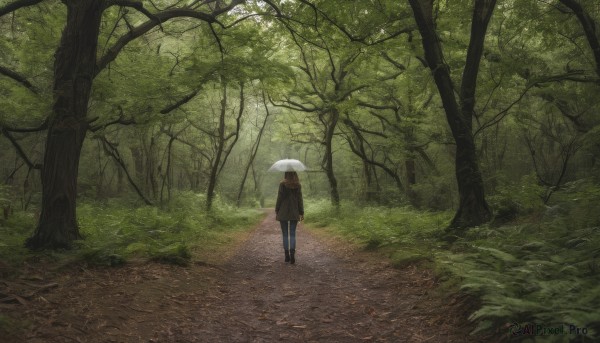 1girl, solo, outdoors, from behind, tree, umbrella, nature, scenery, forest, holding umbrella, road, transparent, path, transparent umbrella