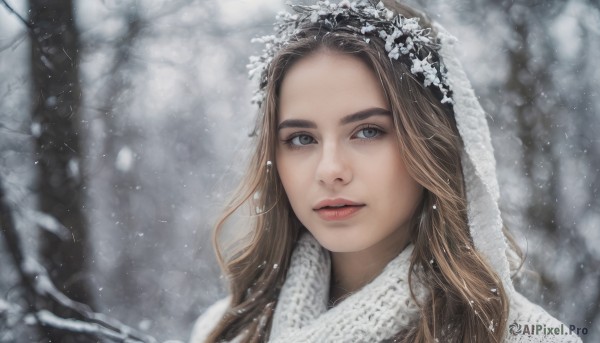 1girl,solo,long hair,looking at viewer,blue eyes,blonde hair,brown hair,outdoors,parted lips,teeth,hood,blurry,tree,lips,blurry background,portrait,snow,hood up,freckles,snowing,realistic,nose,red lips,winter,bare tree,hair ornament,fur trim,eyelashes,depth of field,nature,forest