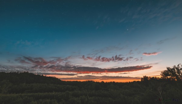 outdoors,sky,cloud,tree,no humans,night,cloudy sky,grass,star (sky),nature,night sky,scenery,forest,starry sky,sunset,field,twilight,evening,gradient sky,orange sky,moon,crescent moon,landscape