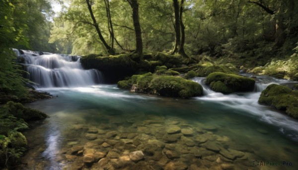 outdoors,day,water,tree,no humans,sunlight,nature,scenery,forest,rock,river,waterfall,landscape,stream,moss