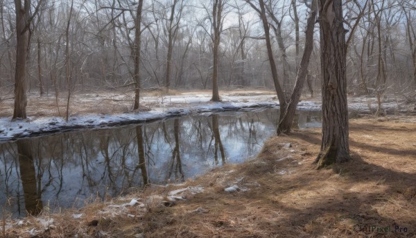 A glimpse of a landscape in a picturesque snowy day