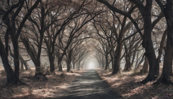 A landscape captured beautifully in a inviting day
