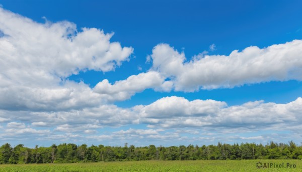 outdoors,sky,day,cloud,tree,blue sky,no humans,cloudy sky,grass,nature,scenery,forest,field,landscape