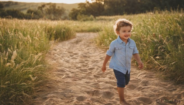 solo,looking at viewer,smile,short hair,open mouth,brown hair,shirt,1boy,brown eyes,standing,white shirt,short sleeves,:d,male focus,outdoors,shorts,barefoot,teeth,day,collared shirt,water,blurry,blurry background,black shorts,grass,blue shirt,child,nature,wading,walking,pocket,male child,field,blue eyes,full body,pants,aged down,scenery,blue shorts,realistic,breast pocket