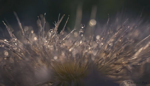 A abstract in the heart of a peaceful background