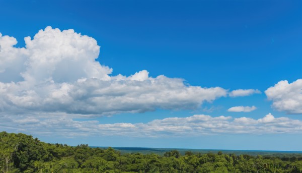 outdoors,sky,day,cloud,signature,water,tree,blue sky,no humans,ocean,cloudy sky,grass,nature,scenery,forest,horizon,field,summer,landscape