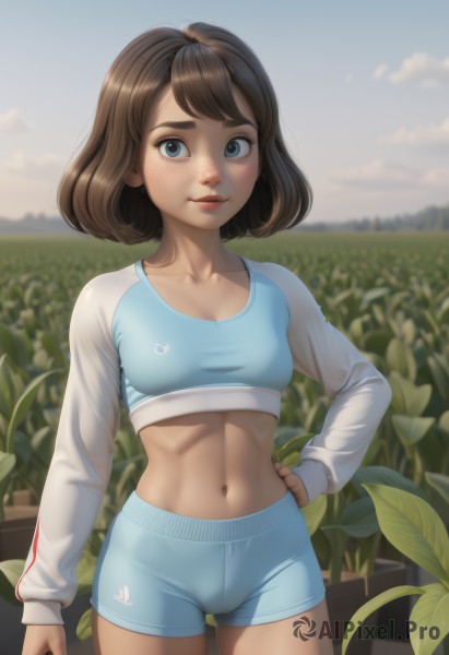 1girl,solo,breasts,looking at viewer,smile,short hair,bangs,blue eyes,brown hair,shirt,long sleeves,navel,closed mouth,underwear,standing,collarbone,cowboy shot,small breasts,outdoors,sky,shorts,day,midriff,artist name,cloud,stomach,bra,blurry,blue sky,lips,crop top,hand on hip,short shorts,blurry background,cameltoe,abs,thick eyebrows,plant,freckles,arm at side,blue shorts,toned,sports bra,body freckles,bob cut,animal print,contrapposto,realistic,nose,field,bunny print,training bra