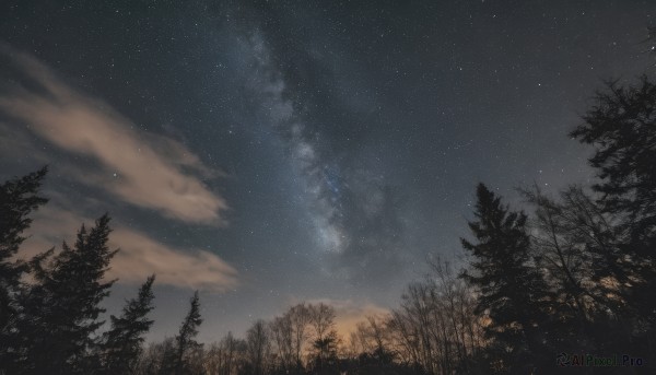 outdoors,sky,cloud,tree,no humans,night,cloudy sky,star (sky),nature,night sky,scenery,forest,starry sky,milky way,star (symbol)