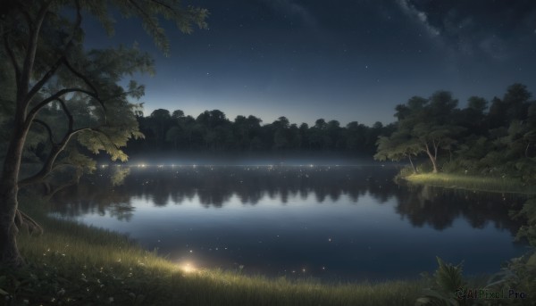 outdoors,sky,cloud,water,tree,no humans,night,grass,plant,star (sky),nature,night sky,scenery,forest,starry sky,reflection,river,lake,fireflies,reflective water