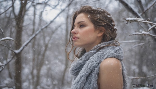 1girl,solo,long hair,blue eyes,brown hair,upper body,braid,outdoors,sleeveless,scarf,tree,lips,looking away,looking up,nature,snow,forest,snowing,realistic,nose,winter,bare tree,bare shoulders,blurry