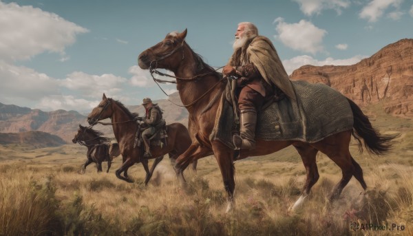 1boy,sitting,weapon,male focus,boots,outdoors,multiple boys,sky,day,pants,sword,cloud,2boys,cape,armor,blue sky,facial hair,animal,grass,scenery,beard,mountain,riding,field,brown pants,horse,horseback riding,reins,saddle,hat,holding,flower,holding weapon,from side,fur trim,holding sword,cloudy sky,sheath,rock,bald,old man